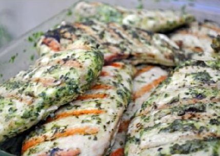 Basil Marinated Grilled Chicken