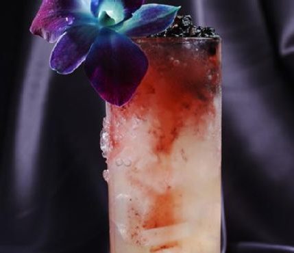 Blackberry Honey Cocktail